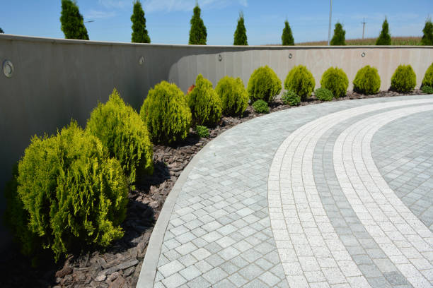 Reasons to Select Us for Your Driveway Paving Requirements in Runge, TX